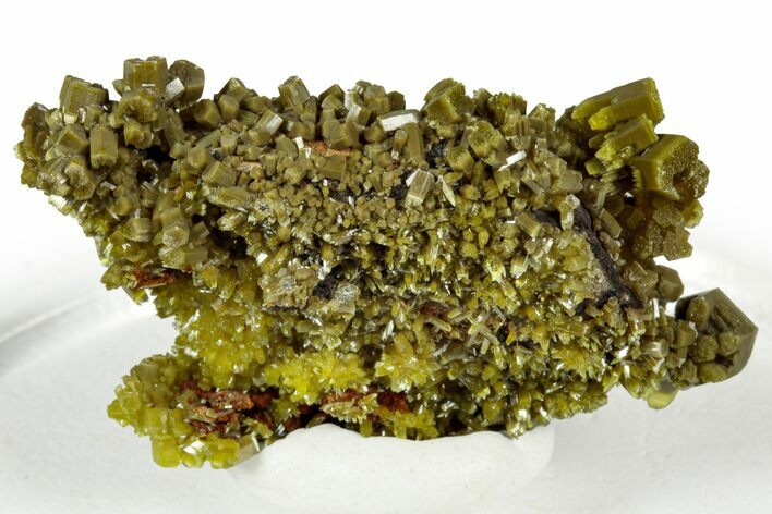 Lustrous Forest-Green Pyromorphite Crystal Cluster - China #330059